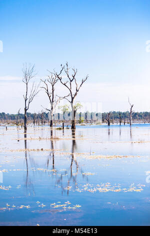 Landschaft von Brücke zum Neak Pean oder Neak Poan Angkor Wat Siem Reap Kambodscha Südostasien die verschlungenen Schlangen in Angkor Stockfoto