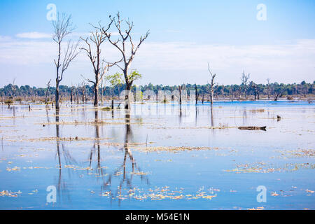 Landschaft von Brücke zum Neak Pean oder Neak Poan Angkor Wat Siem Reap Kambodscha Südostasien die verschlungenen Schlangen in Angkor Stockfoto