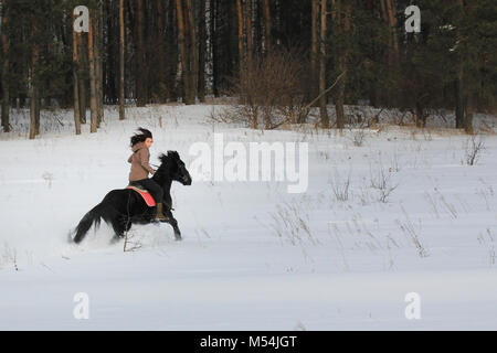 Junge Frau reitet auf einem Pferd im Winter Landschaft Stockfoto