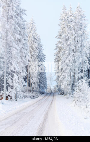 Winter Wald Landschaft mit einem Feldweg in den Wald Stockfoto