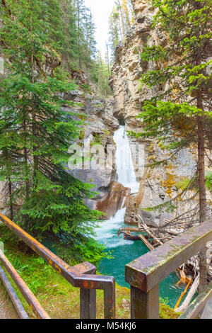 Wasserfall in der Johnston Canyon Stockfoto