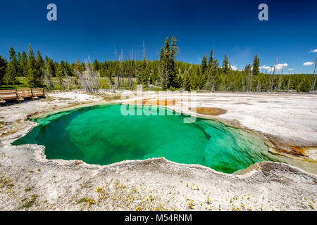 Heiße Thermalquelle in Yellowstone Stockfoto