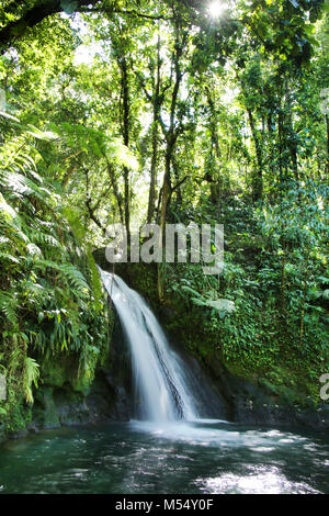 Crayfish Wasserfall oder La Cascade aux Ecrevisses Nationalpark, Guadeloupe, Guadeloupe, French West Indies. Stockfoto