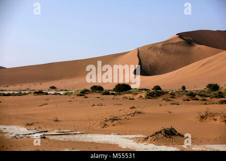 Sanddünen im Namib-Naukluft-Park, Wüste Namib, Namibia, Südafrika Stockfoto