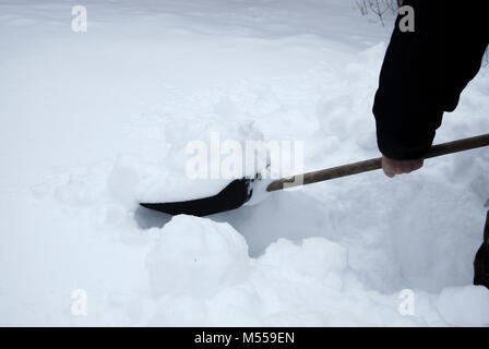 Manuelle Reinigung von Schnee im Winter. Kunststoff schwarz Schaufel mit Holzstiel Stockfoto