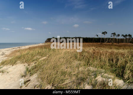 Ostsee Küste in der Nähe von Ahrenshoop in Deutschland Stockfoto