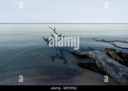 Ostsee Küste in der Nähe von Ahrenshoop in Deutschland Stockfoto