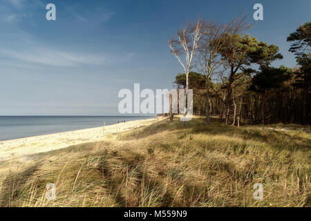 Ostsee Küste in der Nähe von Ahrenshoop in Deutschland Stockfoto