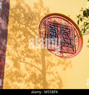 Baum Schatten an Wand Stockfoto