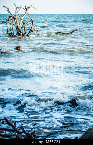 Kulissen Botany Bay Plantation in der Nähe von Charleston, South Carolina Stockfoto