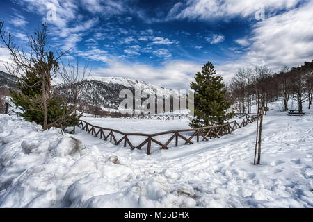 Schnee bedeckt die Landschaft Auffahrt mit Holz- Fechten und grünen Tannen Stockfoto