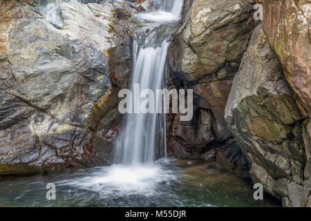 Solated Wasserfall im Wald mit dem Fluss des Wassers Emerald Grün/Wasserfall/Wald/Fluss/Grün Stockfoto