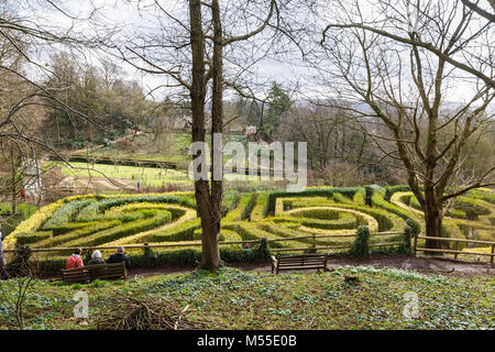 Formale Gärten: Die privet Hedge 250. Jahrestag Labyrinth in Painswick Rococo Garten, Painswick, Gloucestershire Cotswolds im Winter mit Schneeglöckchen Stockfoto