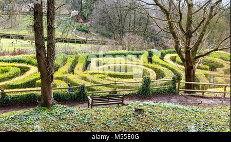 Sightseeing: Der liguster Hecke 250. Jahrestag Labyrinth in Painswick Rococo Garten, Painswick, Gloucestershire Cotswolds mit Schneeglöckchen im Winter Stockfoto