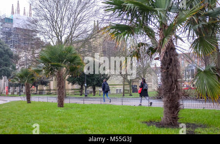 Brighton UK 20. Feb 2018 - Es ist ein stumpfes und feuchten Morgen in Brighton in der Nähe der Ebene heute aber das Wetter wird den Prognosen zufolge in Großbritannien in den nächsten Tagen Credit zu verbessern: Simon Dack/Alamy leben Nachrichten Stockfoto