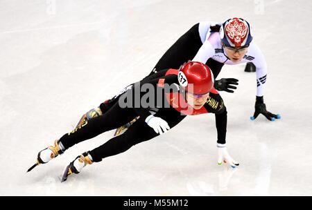 Pyeongchang, Südkorea. 20 Feb, 2018. Zhou Yang (vorne) von China konkurriert während der Damen 3000 m Staffel finale der Short Track Eisschnelllauf bei den Olympischen Winterspielen 2018 PyeongChang an Gangneung Ice Arena, Tainan, Südkorea, Jan. 20, 2018. Credit: Wang Song/Xinhua/Alamy leben Nachrichten Stockfoto