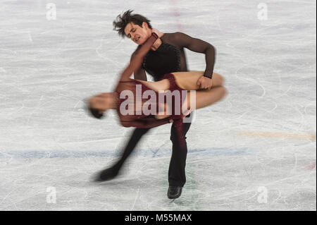 Februar 20, 2018: Tugend Tessa und Moir Scott von Kanada im Freien Tanz konkurrieren an Gangneung Ice Arena, Tainan, Südkorea. Ulrik Pedersen/CSM Stockfoto