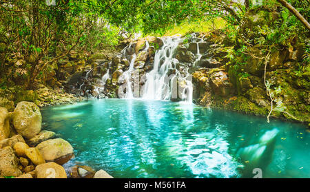 Cascade Vacoas Wasserfall. Mauritius. Panorama Stockfoto