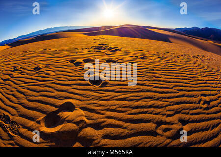 Am frühen Morgen in der Wüste Stockfoto