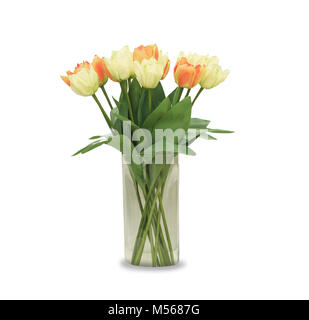 Bunte Tulpen in der Vase, auf weißem Hintergrund Stockfoto