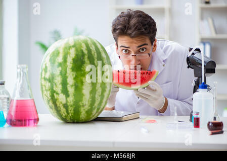 Wissenschaftler testen Wassermelone im Labor Stockfoto