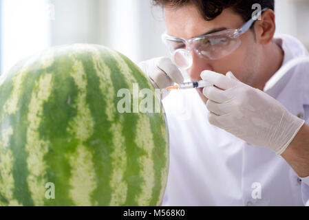 Wissenschaftler testen Wassermelone im Labor Stockfoto