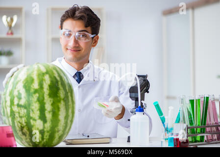Wissenschaftler testen Wassermelone im Labor Stockfoto