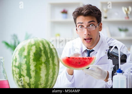 Wissenschaftler testen Wassermelone im Labor Stockfoto