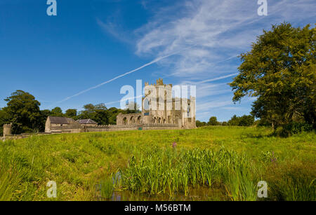 13. Jahrhundert Zisterzienser Tintern Abbey auf dem Haken Halbinsel, County Wexford, Irland. Stockfoto