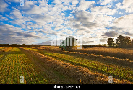 Mähdrescher im Bereich der Hafer, Kilmacthomas, Grafschaft Waterford, Irland Stockfoto