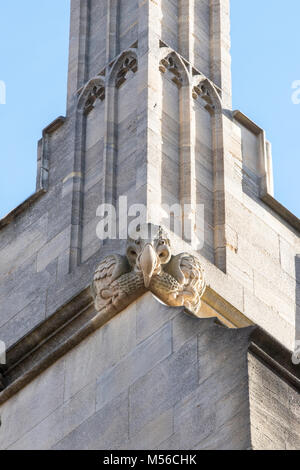 Stein Dodo gargoyle/Groteske auf dem Dach der Bodleian Library. Oxford, Oxfordshire, England Stockfoto