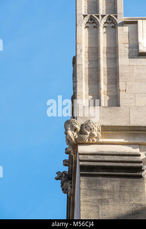 Stein Dodo gargoyle/Groteske auf dem Dach der Bodleian Library. Oxford, Oxfordshire, England Stockfoto