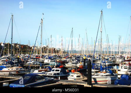 Überfüllte Marina in Bangor, Co Down, Nordirland, Großbritannien Stockfoto