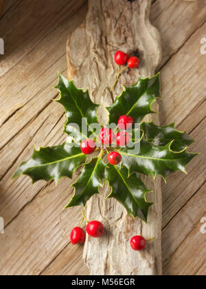 Holly Blätter mit roten Beeren - Ilex aquifolium Stockfoto