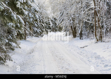 Winter unbefestigte Straße durch den Wald mit Schnee und Frost Stockfoto