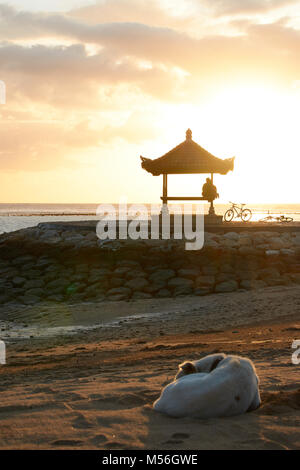 Schlafen streunender Hund in den Sand im Vordergrund, die eine Person bei der Pagode im Hintergrund sitzen. Im Beach in Bali, Indonesien Stockfoto