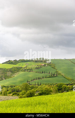 Ländliche Aussicht auf die Felder, die mit einem gewundenen Landstraße Stockfoto