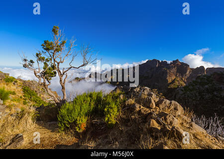Wandern Pico Ruivo und Pico do Arierio - Madeira Portugal Stockfoto