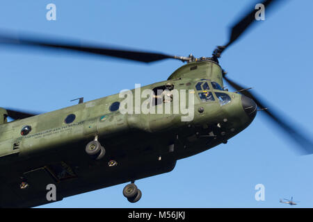 Olst Feb 7 2018: Amry und Luftwaffe Hubschrauber übung Chinook Landung Soldaten zu fallen Stockfoto