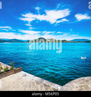 Lago Maggiore Aussicht von Arona am See. Schwäne und Rocca di Angera Borromea Schloss im Hintergrund. Piemont Italien Europa Stockfoto