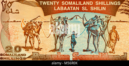 Somaliland 20 20 Shilling Bank Note Stockfoto