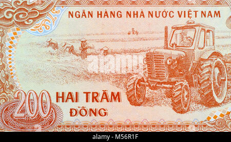 Vietnam 200 200 Dong Bank Note Stockfoto