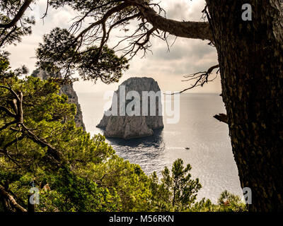 Faraglioni: Die drei Sporne der Felsen, der aus dem Meer steigen, das nur wenige Meter von der Insel der südlichen Küste von Capri. Stockfoto