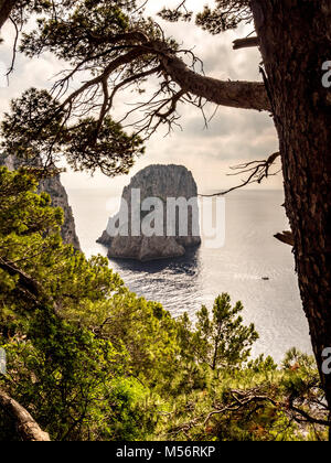 Faraglioni: Die drei Sporne der Felsen, der aus dem Meer steigen, das nur wenige Meter von der Insel der südlichen Küste von Capri. Stockfoto