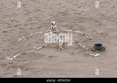 Menschliches Skelett aus tierischen Knochen an der Skelettküste in Namibia gebaut Stockfoto