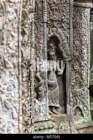 Reliefs an Ta Prohm Dschungel Tempel in Angkor, Kambodscha Stockfoto