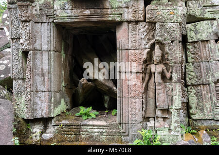 Reliefs an Ta Prohm Dschungel Tempel in Angkor, Kambodscha Stockfoto