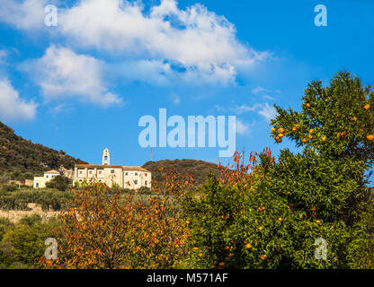 Die Kirche auf dem Berg mit Orange Tree Stockfoto