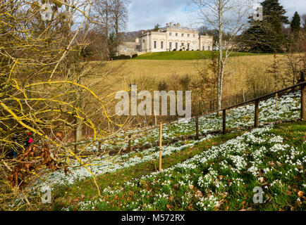 Schneeglöckchen in Painswick Rococo Garten mit painswick Haus im Hintergrund, Gloucestershire, VEREINIGTES KÖNIGREICH Stockfoto