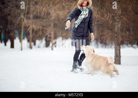 Bild der Frau spielen mit Labrador in Snowy Park Stockfoto